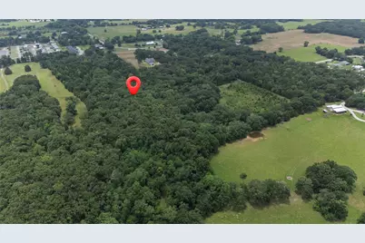 2062 Vz County Road 1803, Grand Saline, TX 75140 - Photo 15