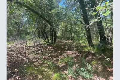 Lot 479 Bluffs Avenue, Bowie, TX 76230 - Photo 11