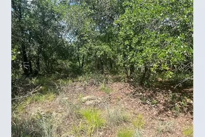 Lot 479 Bluffs Avenue, Bowie, TX 76230 - Photo 9