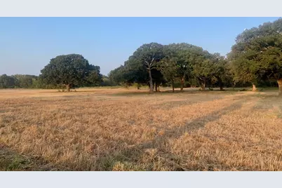 Tbd County Road 4410, Commerce, TX 75428 - Photo 9