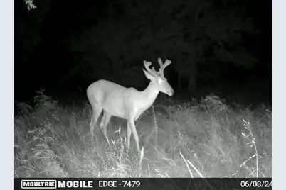 Tbd County Road 4410, Commerce, TX 75428 - Photo 19