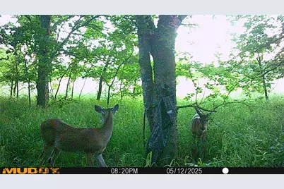 131 Dugan Chapel Rd Road, Bells, TX 75414 - Photo 1