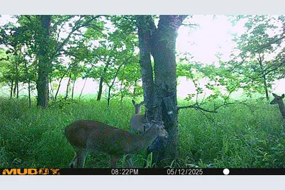 131 Dugan Chapel Rd Road, Bells, TX 75414 - Photo 7