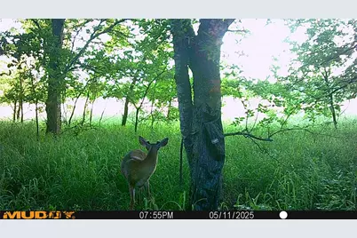 131 Dugan Chapel Rd Road, Bells, TX 75414 - Photo 9