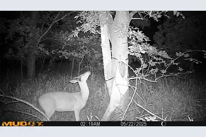 131 Dugan Chapel Rd Road, Bells, TX 75414 - Photo 3