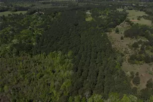 0 Hwy 77 Lot 1 E, Atlanta, TX 75551 - Photo 9