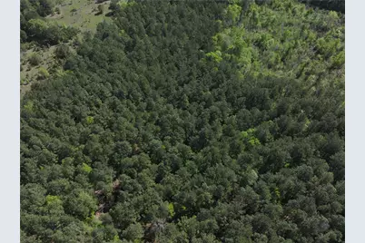 0 Highway 77 Lot 1 E, Atlanta, TX 75551 - Photo 5