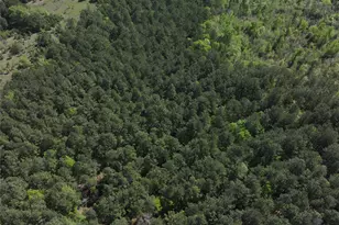 0 Hwy 77 Lot 1 E, Atlanta, TX 75551 - Photo 5