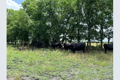 Tbd Cr 3735, Bonham, TX 75418 - Photo 9