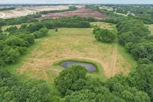 4195 Co Rd 1001, McKinney, TX 75071 - Photo 15