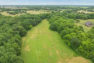 4195 Co Rd 1001, McKinney, TX 75071 - Photo 7