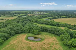 4195 Co Rd 1001, McKinney, TX 75071 - Photo 21