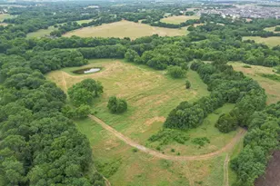 4195 Co Rd 1001, McKinney, TX 75071 - Photo 17