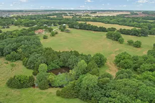 4196 Co Rd 1001, McKinney, TX 75071 - Photo 13