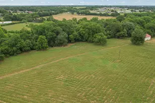 4196 Co Rd 1001, McKinney, TX 75071 - Photo 5