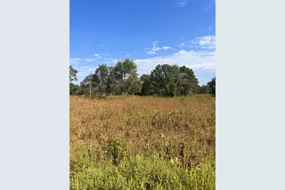 156 Doe, Nocona, TX 76255 - Photo 1