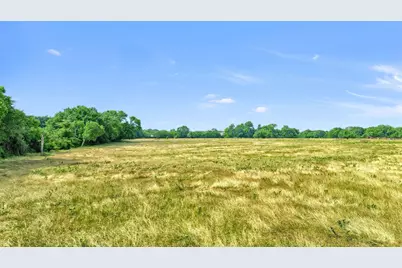 1730 Mackey Road, Gunter, TX 75459 - Photo 5