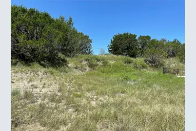 1425 Skyline Drive, Bluff Dale, TX 76433 - Photo 3