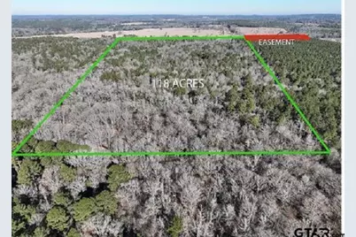 Tbd Bamboo Road, Big Sandy, TX 75755 - Photo 1