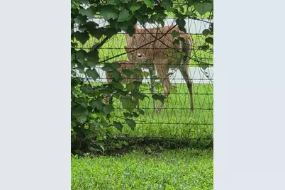 9801 Bellechase Road, Granbury, TX 76049 - Photo 3