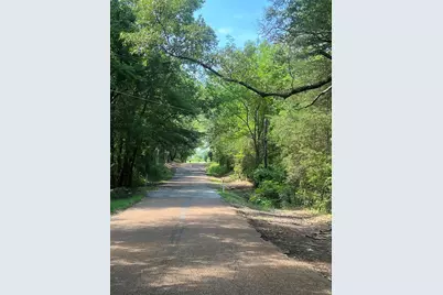 Tbd Vz 1913, Fruitvale, TX 75127 - Photo 3