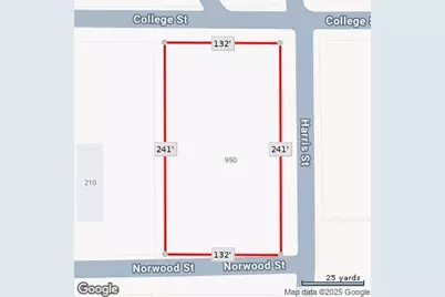 950 Harris Street, Mingus, TX 76463 - Photo 3