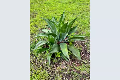 2000 Homestead Drive, Mesquite, TX 75181 - Photo 37