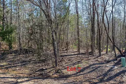 Lots 7,8,9 J Lazarine Fm 130, Hughes Springs, TX 75656 - Photo 5