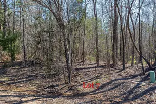 Lots 7 8 9 J Lazarine Fm 130, Hughes Springs, TX 75656 - Photo 5