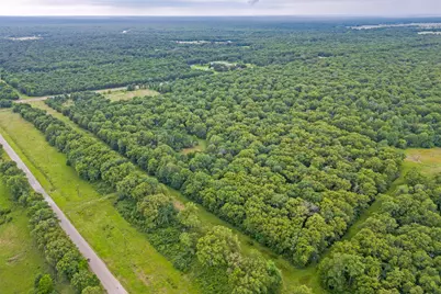 0 An County Road 493, Cayuga, TX 75832 - Photo 5