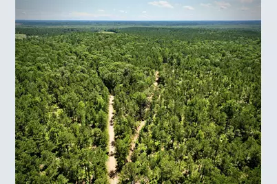 000 William Colvin Road, Bernice, LA 71222 - Photo 15