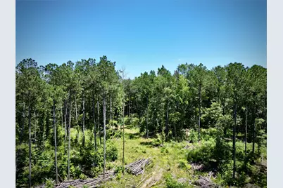 000 William Colvin Road, Bernice, LA 71222 - Photo 13