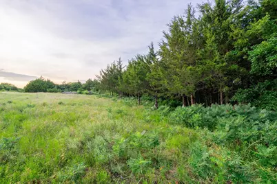 925 Walter Stephenson Road, Midlothian, TX 76065 - Photo 7