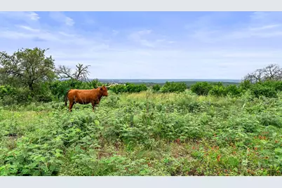 101 Starhorn Road, Marble Falls, TX 78654 - Photo 35