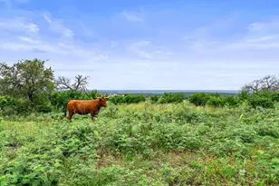 101 Starhorn Rd, Marble Falls, TX 78654 - Photo 35