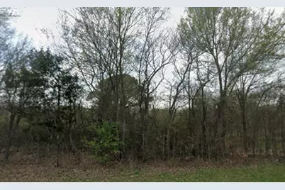 2946 Fm 2946, Emory, TX 75440 - Photo 1