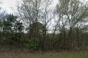 2140 FM 2946, Emory, TX 75440 - Photo 1