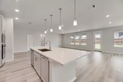 15005 Sagasta Court, Little Elm, TX 75068 - Photo 5