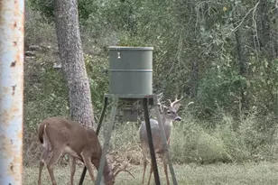 147 Fox Run Rd, Bowie, TX 76230 - Photo 35