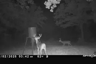 147 Fox Run Rd, Bowie, TX 76230 - Photo 33