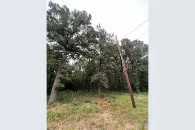 117 Inca Trail, Mabank, TX 75156 - Photo 3