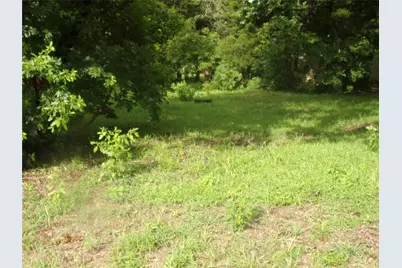187 Holly Lane, Murchison, TX 75778 - Photo 3
