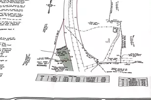 Tbd Farm Road 900 N, Saltillo, TX 75478 - Photo 15