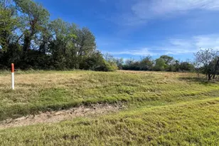 Tbd Farm Road 900 N, Saltillo, TX 75478 - Photo 9