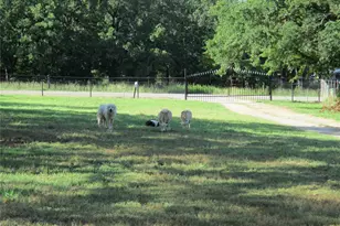 214 Co Rd 3432, Paradise, TX 76073 - Photo 3