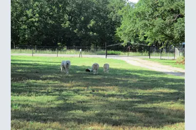 214 County Road 3432, Paradise, TX 76073 - Photo 3