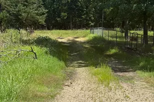 2324 Cr 44550 Rd, Paris, TX 75462 - Photo 5