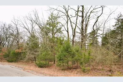 Lot 73 Rs County Road 3376, Emory, TX 75440 - Photo 7