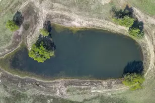 411 Rs County Road 4525, Point, TX 75472 - Photo 31