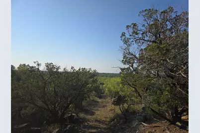 Lot 194 Plesant Valley Road, Mineral Wells, TX 75067 - Photo 9